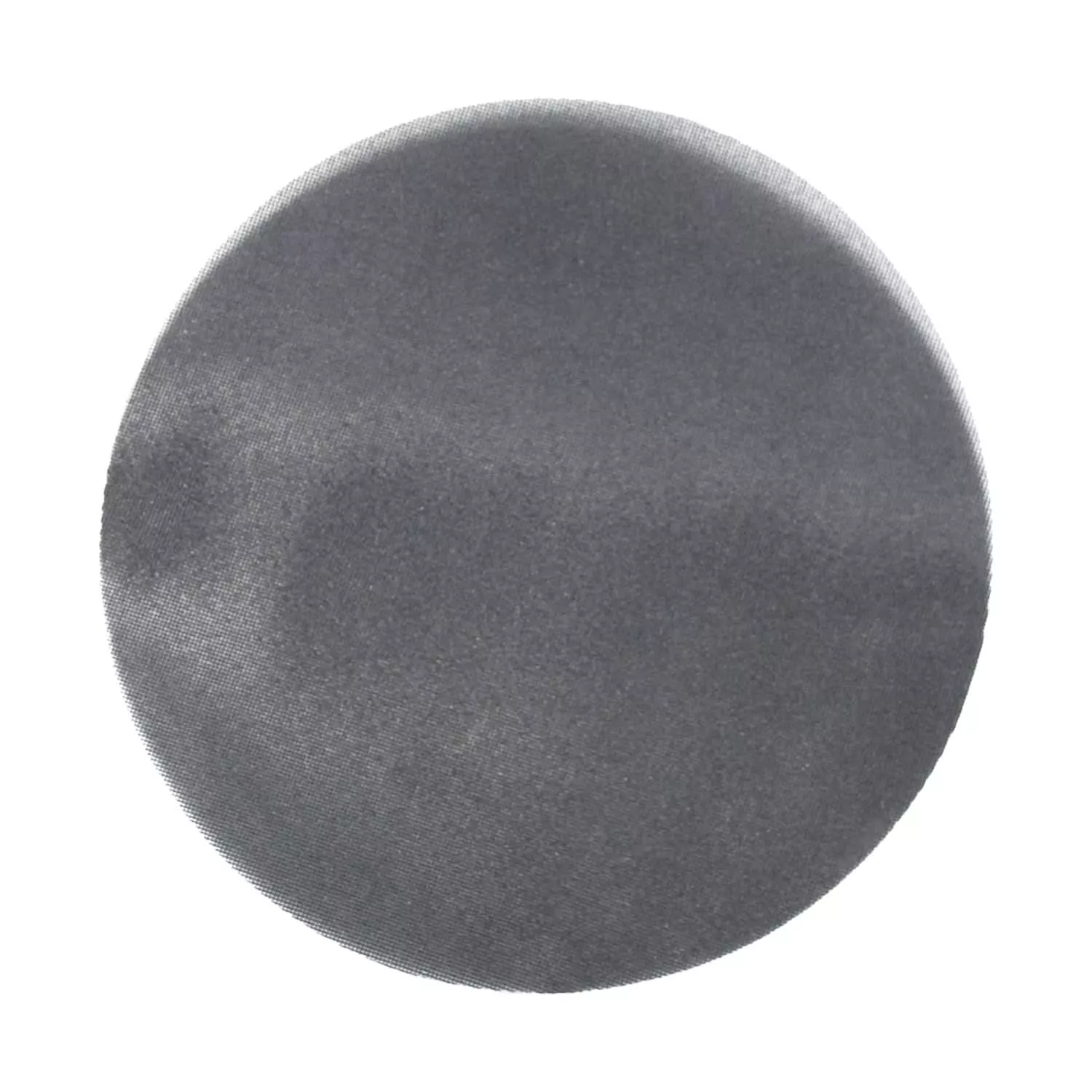Avanti PCE170100E01G 17 in. 100 Grit Sanding Screen