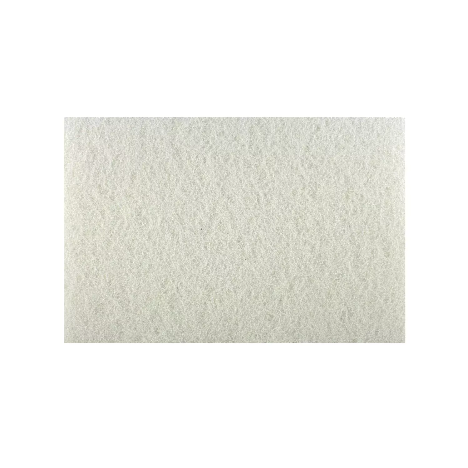 Diablo DCP120WHTM01G 12 in. x 18 in. Non-Woven White Buffer Pad