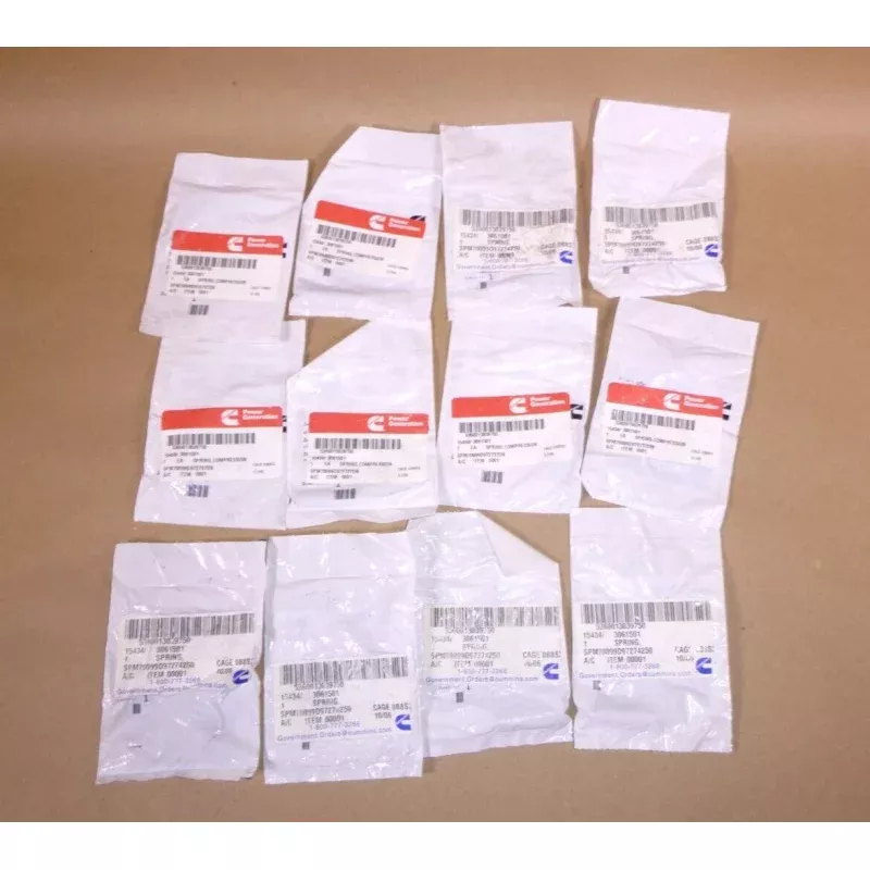 (Lof of 12) Cummins Helical Compression Spring 3061501