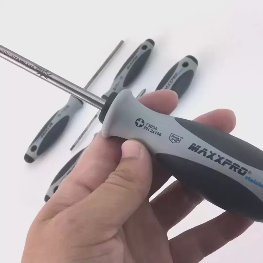 Witte MaxxPro Stainless Slotted and Phillips Screwdriver Set, 5 Pieces