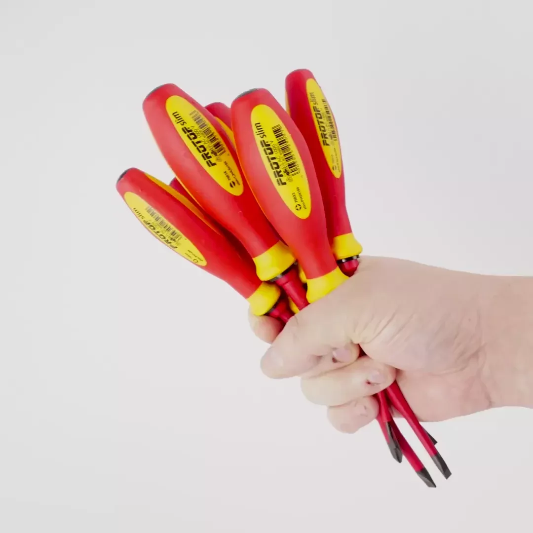 Witte Pro VDE Slim Slotted and Phillips Screwdriver Set, 6 Pieces